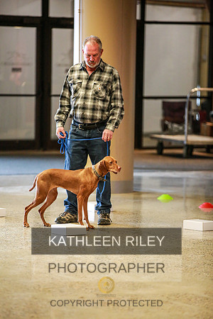 2022-KathleenRileyPhotography-7323