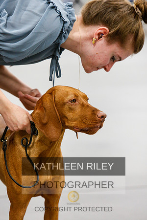 2022-KathleenRileyPhotography-6946