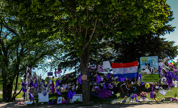 Kathleen Riley Photography Chanhassen Minnesota Paisley Park