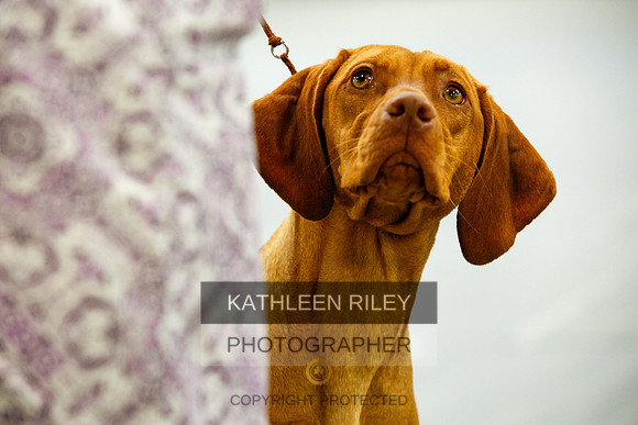 2022-KathleenRileyPhotography-9941