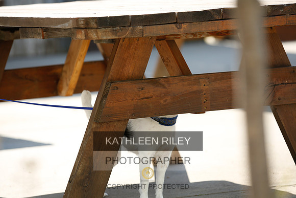 2022-KathleenRileyPhotography-2686