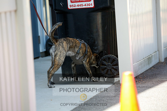 2022-KathleenRileyPhotography-4246