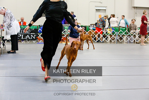 2022-KathleenRileyPhotography-2130
