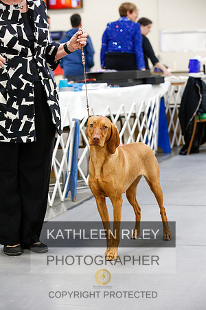 2022-KathleenRileyPhotography-2213