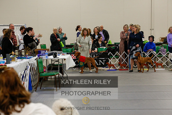 2022-KathleenRileyPhotography-6212