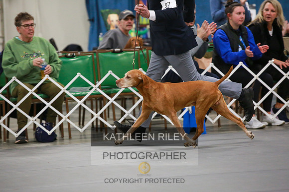 2022-KathleenRileyPhotography-7874