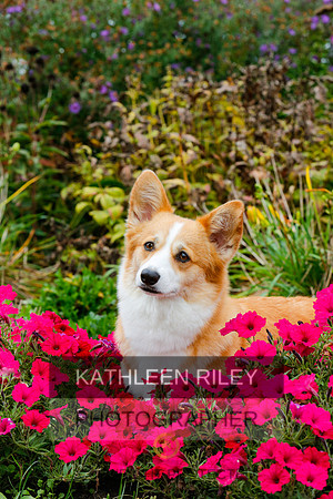 2022-KathleenRileyPhotography-4468