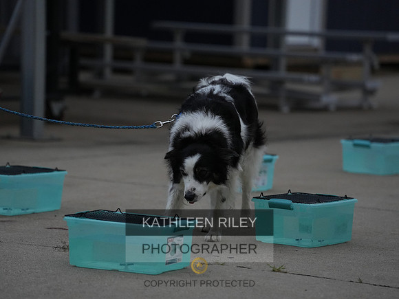 2022-KathleenRileyPhotography020