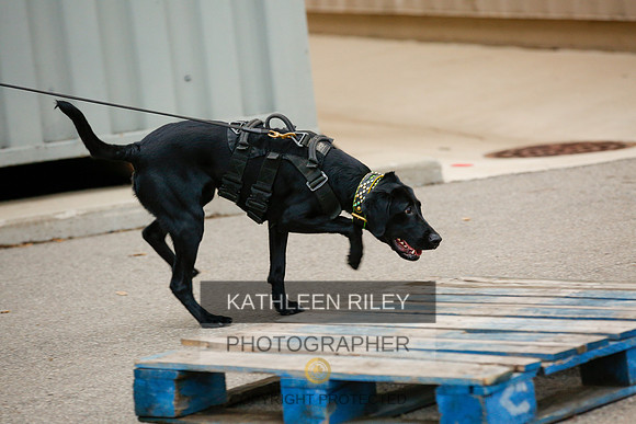2022-KathleenRileyPhotography-7592