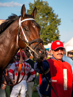 Canterbury Park - 13 September 2014