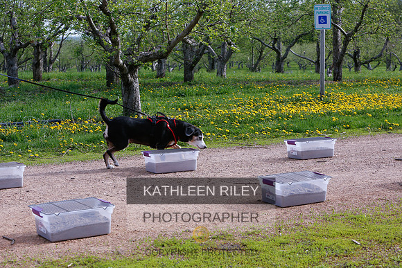2022-KathleenRileyPhotography-8381