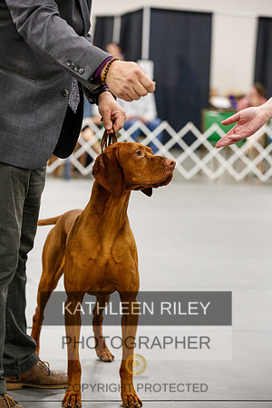 2022-KathleenRileyPhotography-1645