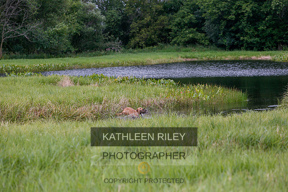 2022-KathleenRileyPhotography-3206