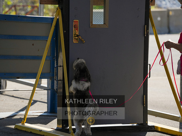 2022-KathleenRileyPhotography-03917