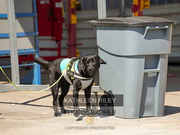 2022-KathleenRileyPhotography-04029
