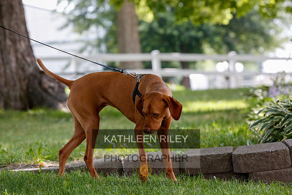 2022-KathleenRileyPhotography-9844