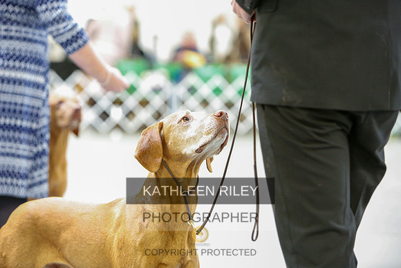 2022-KathleenRileyPhotography-3120