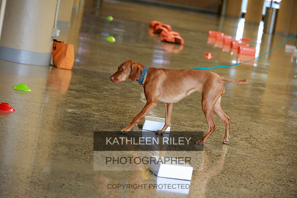 2022-KathleenRileyPhotography-7548