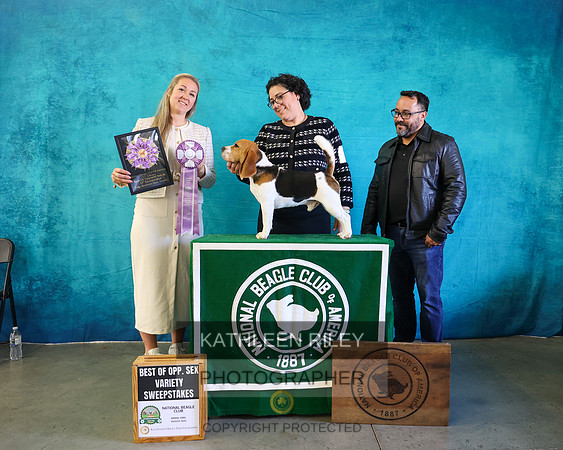 KARD8599