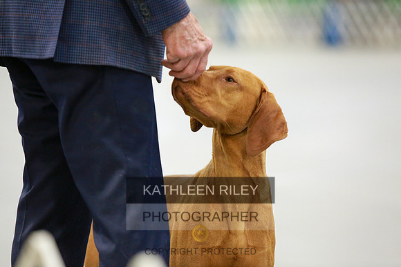2022-KathleenRileyPhotography-8564