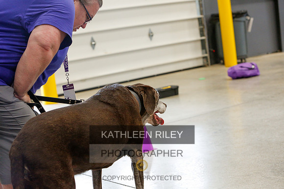 2022-KathleenRileyPhotography-5234
