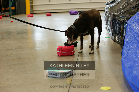 2022-KathleenRileyPhotography-5244