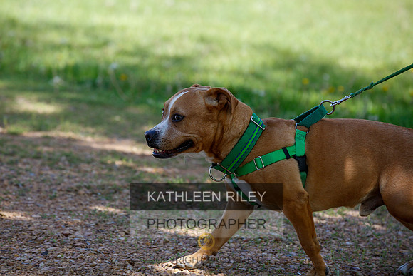 2022-KathleenRileyPhotography-3911
