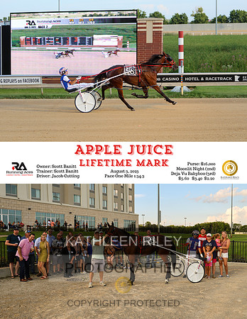 Apple Juice - 08-03-23 - R02 - RA  8.5x11
