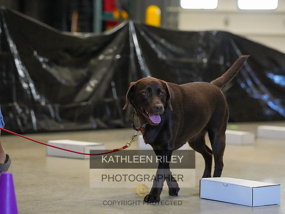 2022-KathleenRileyPhotography-03841