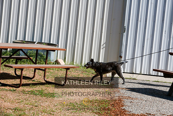 2022-KathleenRileyPhotography-9589