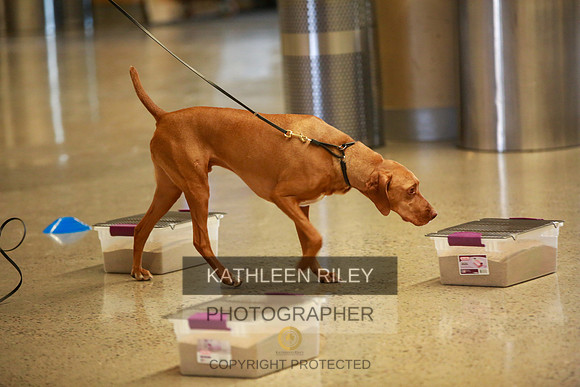 2022-KathleenRileyPhotography-7526
