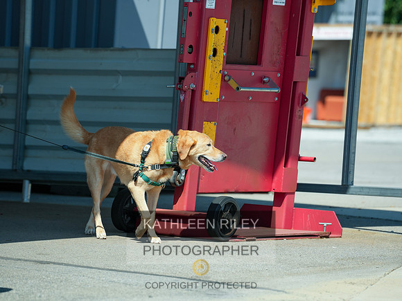 2022-KathleenRileyPhotography-03990