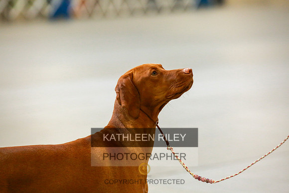 2022-KathleenRileyPhotography-8825