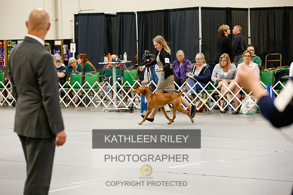 2022-KathleenRileyPhotography-1311