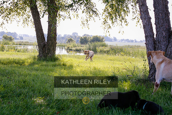 2022-KathleenRileyPhotography-7867