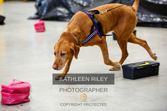 2022-KathleenRileyPhotography-7266