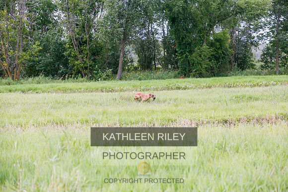 2022-KathleenRileyPhotography-3203