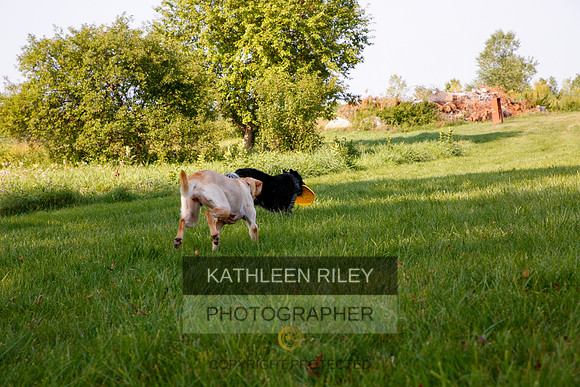 2022-KathleenRileyPhotography-5556
