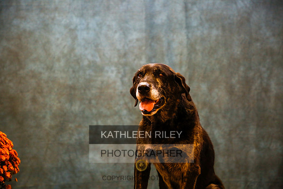 2022-KathleenRileyPhotography-9722