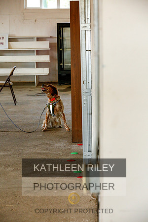 2022-KathleenRileyPhotography-9380