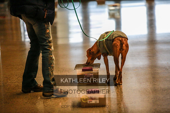 2022-KathleenRileyPhotography-7270
