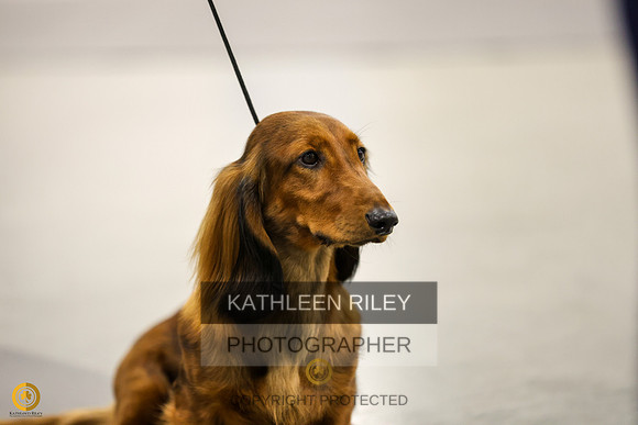 SJLT7959