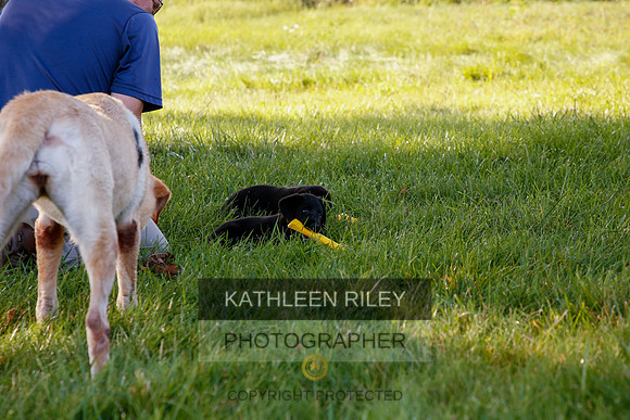 2022-KathleenRileyPhotography-5449