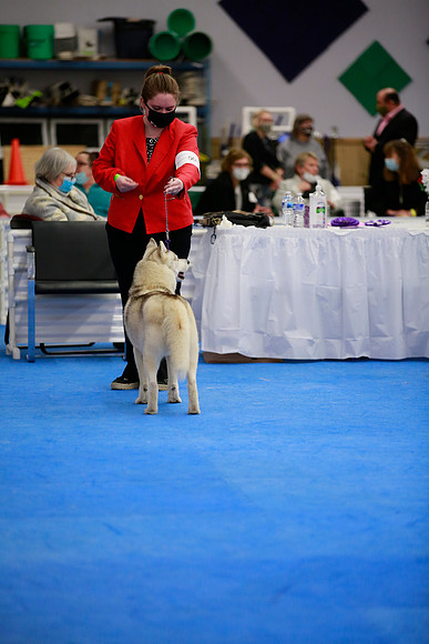 _MGL1991