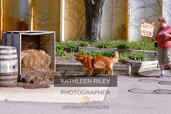 2022-KathleenRileyPhotography-7622