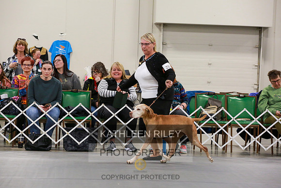 2022-KathleenRileyPhotography-8026