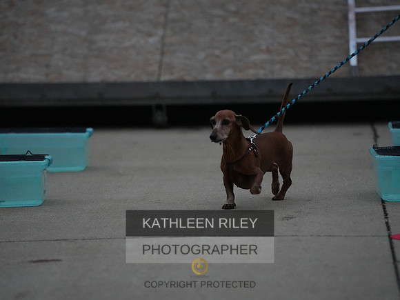 2022-KathleenRileyPhotography116