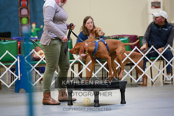 2022-KathleenRileyPhotography-7812