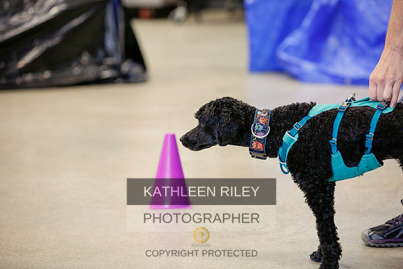 2022-KathleenRileyPhotography-7391