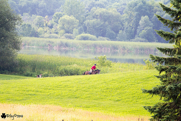 Long Lake Hounds Minnesota